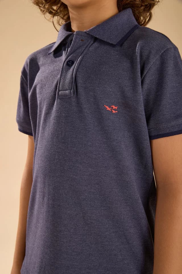 Conjunto Camisa. Polo bermuda Sarja